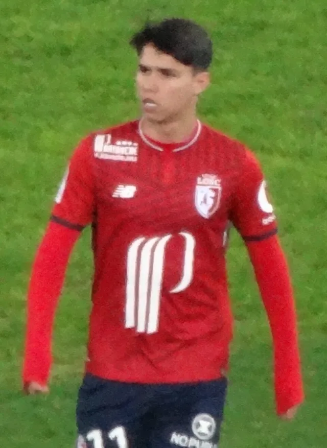 Luiz Araújo