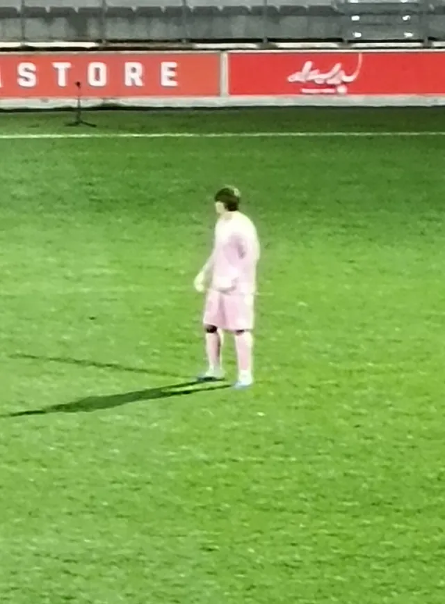 Mikel Santos