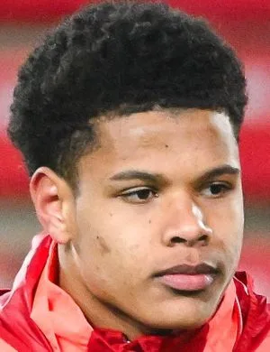Raphaël Le Guen