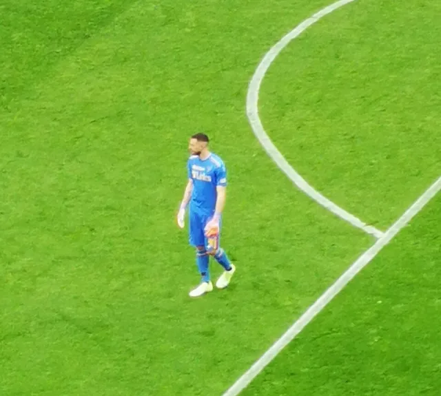 Wladimiro Falcone
